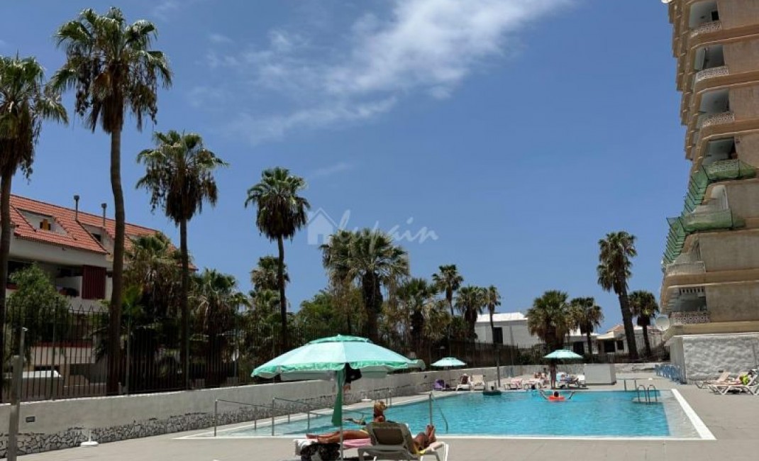 Revente - Apartement - Playa De Las Americas - Playa Honda Playa de Las Americas Tenerife