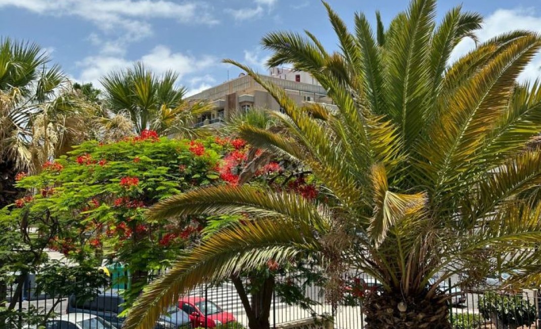 Revente - Apartement - Playa De Las Americas - Playa Honda Playa de Las Americas Tenerife