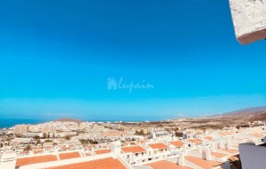 Sale - Apartment - Los Cristianos - Port Royale Los Cristianos Tenerife