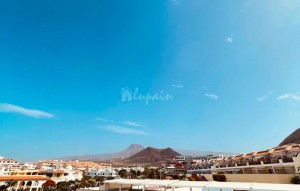Revente - Appartement - Los Cristianos - El Mirador Los Cristianos Tenerife