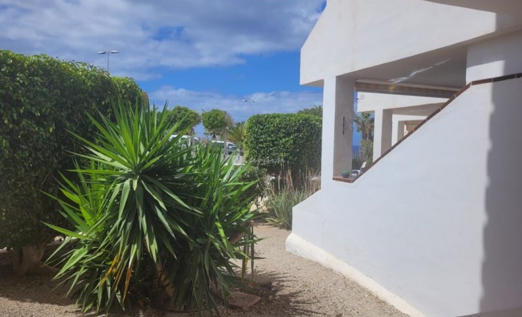 Revente - Appartement - Los Cristianos - Paloma Beach Los Cristianos Tenerife