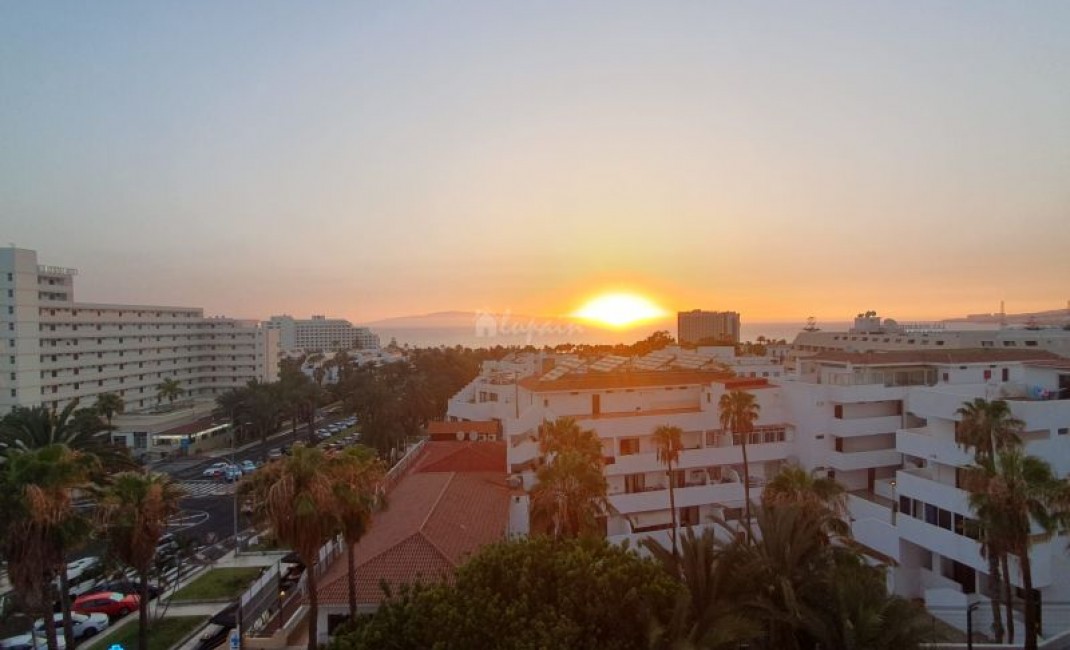 Revente - Appartement - Playa De Las Americas - Los Tajinastes Las Americas Tenerife