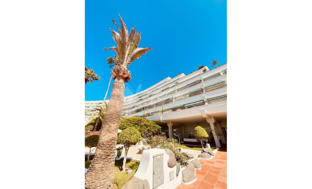 Revente - Appartement - Bahia Del Duque - Altimira Bahia Del Duque Tenerife