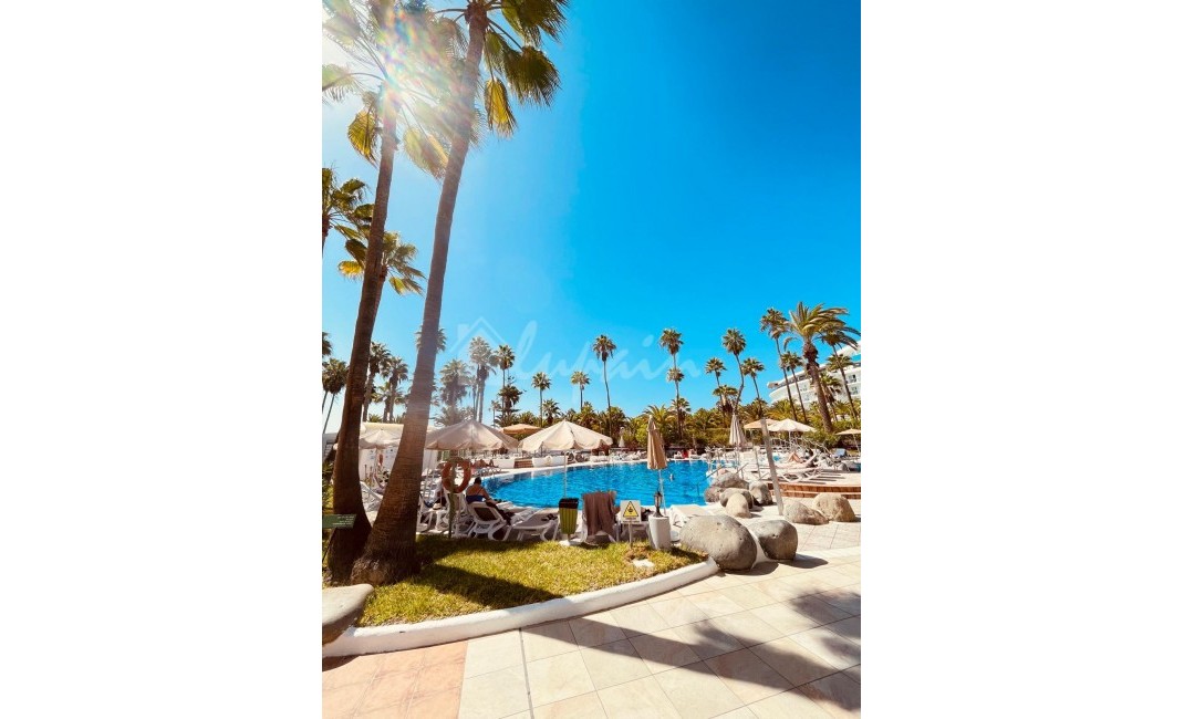 Revente - Appartement - Bahia Del Duque - Altimira Bahia Del Duque Tenerife