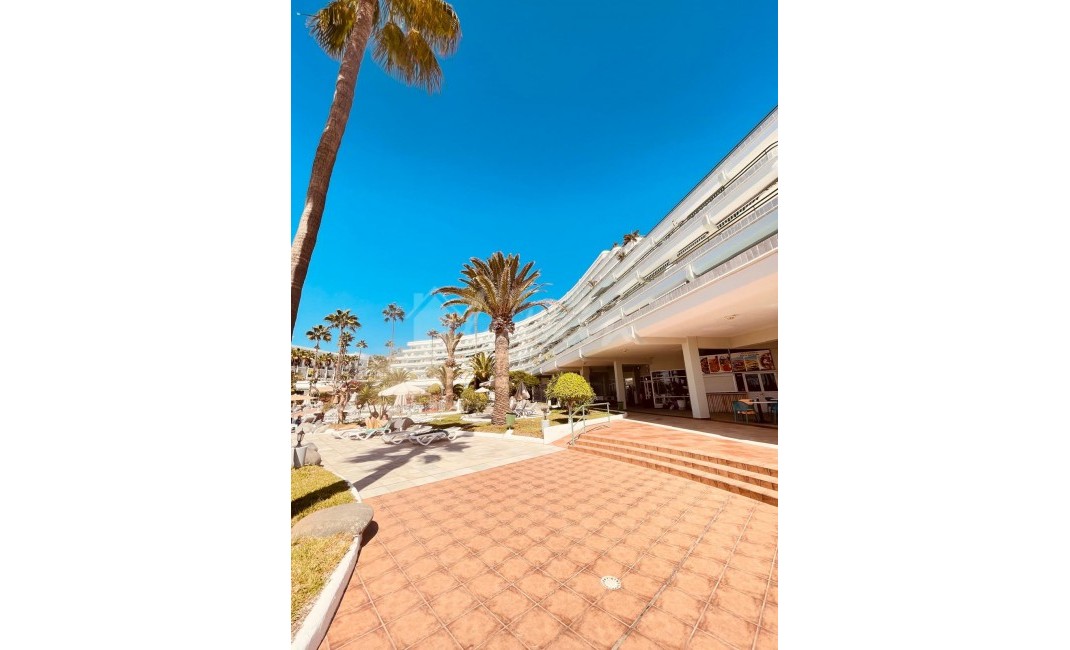 Revente - Appartement - Bahia Del Duque - Altimira Bahia Del Duque Tenerife