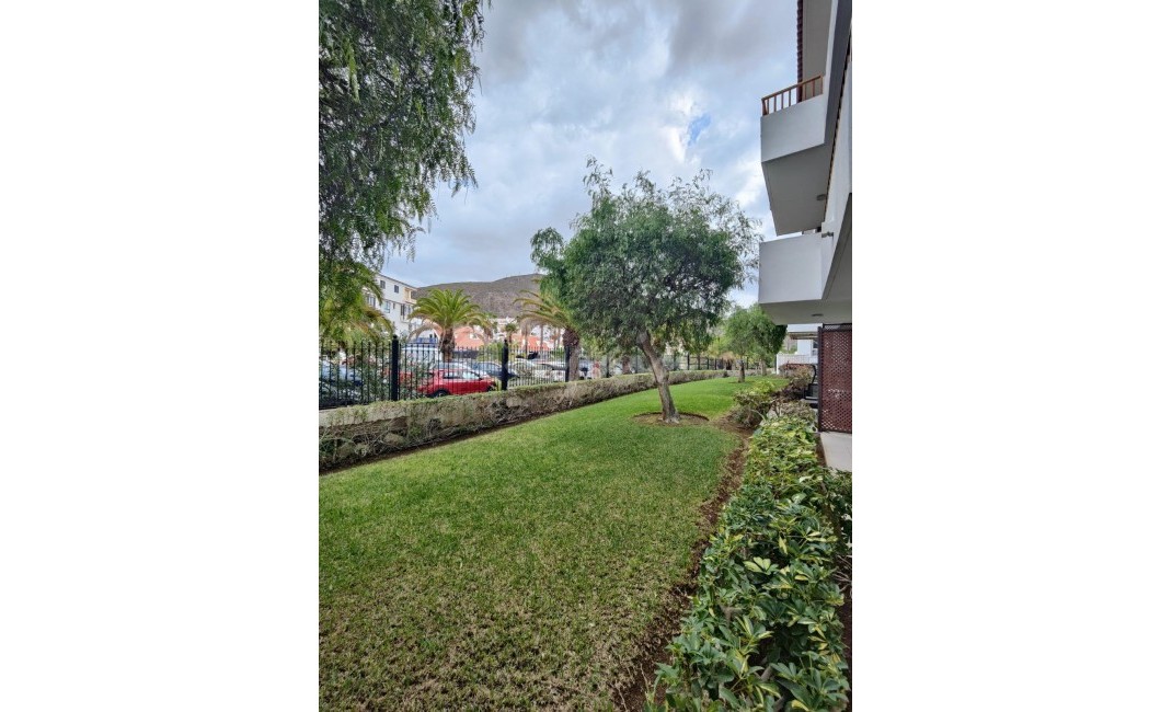 Sale - Apartment - Los Cristianos - Cristian Sur Los Cristianos Tenerife
