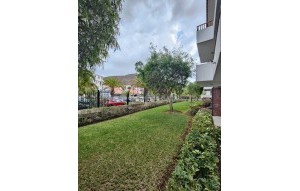 Sale - Apartment - Los Cristianos - Cristian Sur Los Cristianos Tenerife