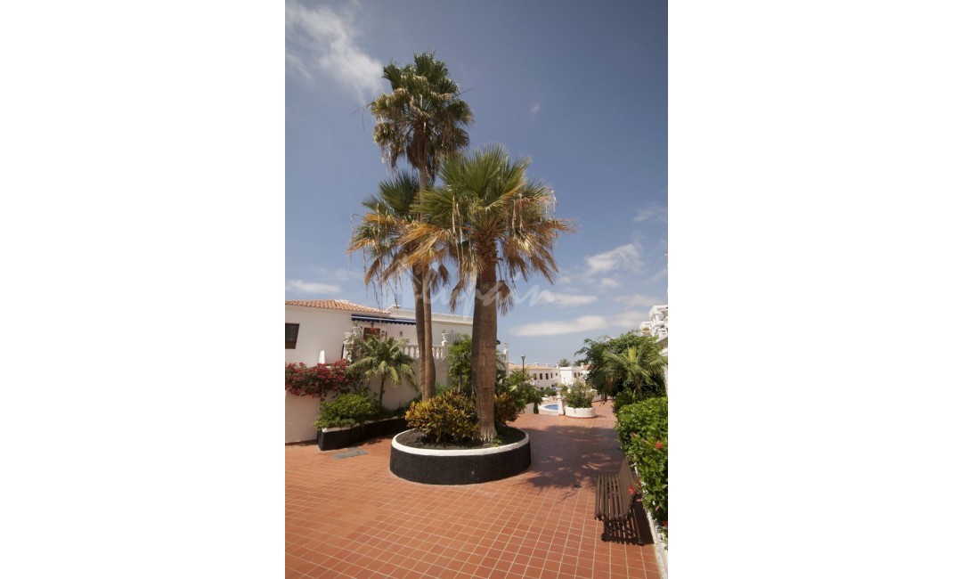 Revente - Appartement - Los Cristianos - Royal Palm Los Cristianos Tenerife