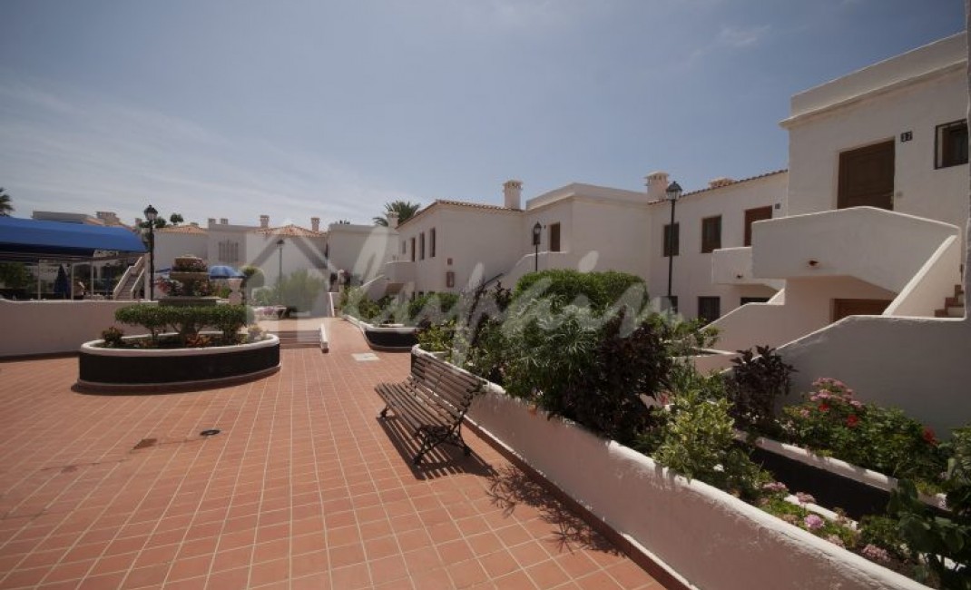 Revente - Appartement - Los Cristianos - Royal Palm Los Cristianos Tenerife