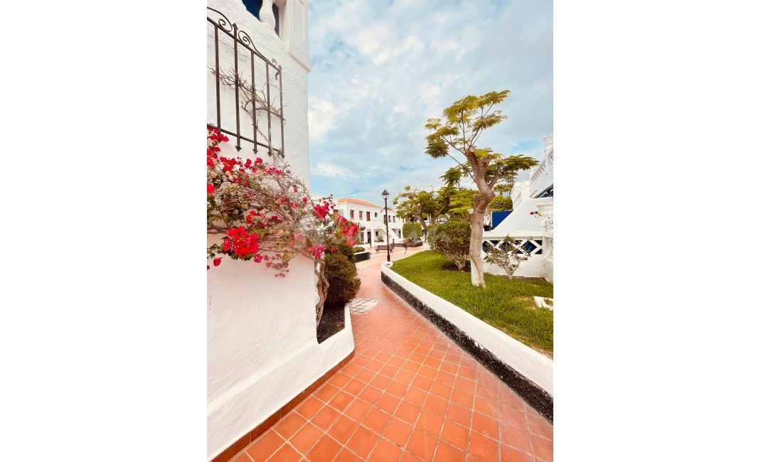 Revente - Appartement - Los Cristianos - Royal Palm Los Cristianos Tenerife