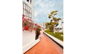 Revente - Appartement - Los Cristianos - Royal Palm Los Cristianos Tenerife