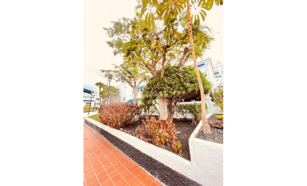 Revente - Appartement - Los Cristianos - Royal Palm Los Cristianos Tenerife
