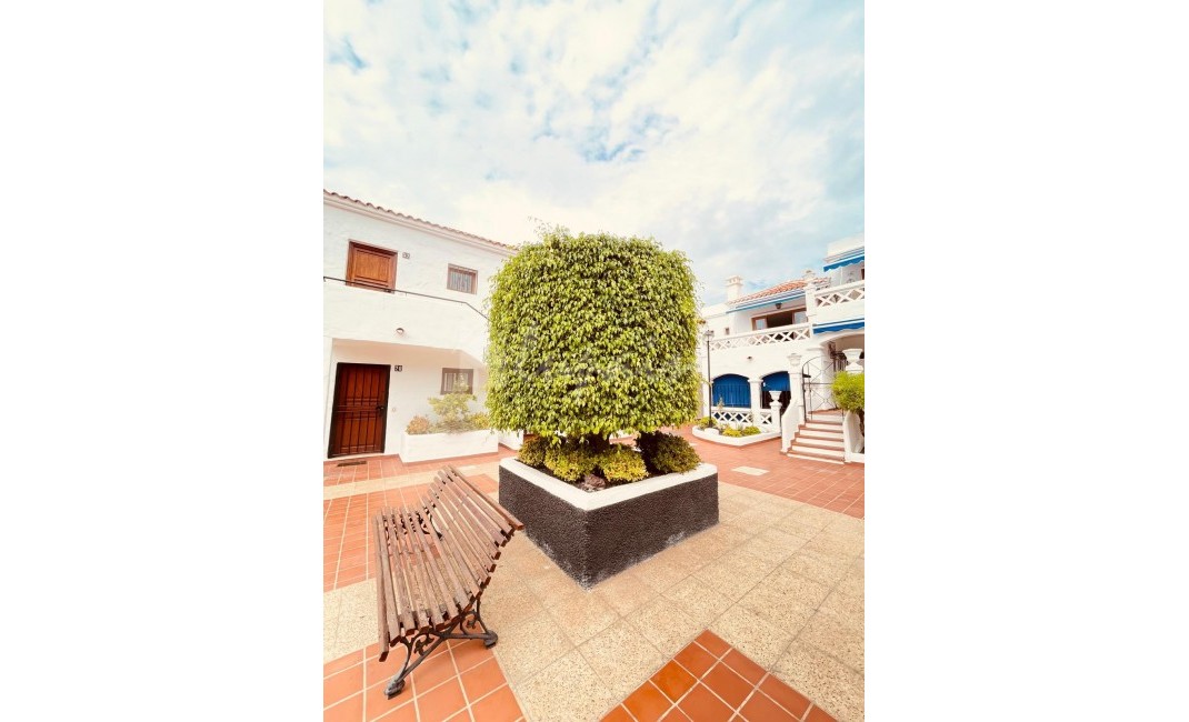 Revente - Appartement - Los Cristianos - Royal Palm Los Cristianos Tenerife