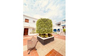 Revente - Appartement - Los Cristianos - Royal Palm Los Cristianos Tenerife