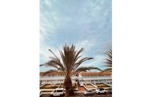 Revente - Appartement - Los Cristianos - Royal Palm Los Cristianos Tenerife