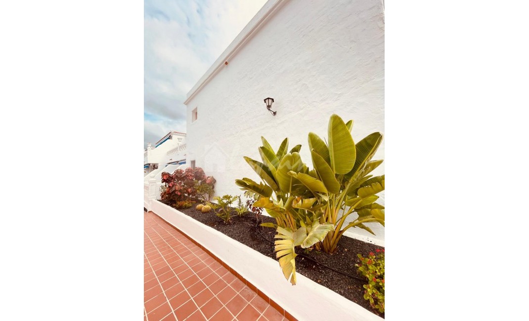 Revente - Appartement - Los Cristianos - Royal Palm Los Cristianos Tenerife