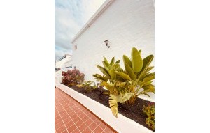 Revente - Appartement - Los Cristianos - Royal Palm Los Cristianos Tenerife