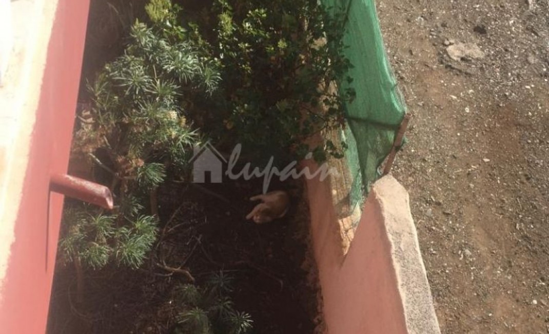 Sale - Villa - Guia De Isora - Guia De Isora Tenerife