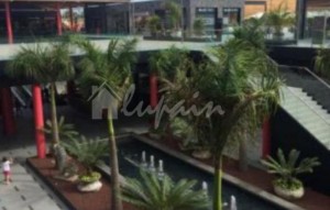 Sale - Villa - San Eugenio - Caldera Del Rey San Eugenio