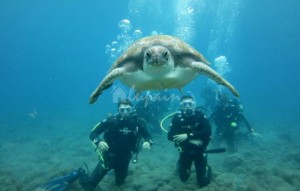 Sale - Villa - San Eugenio - Caldera Del Rey San Eugenio