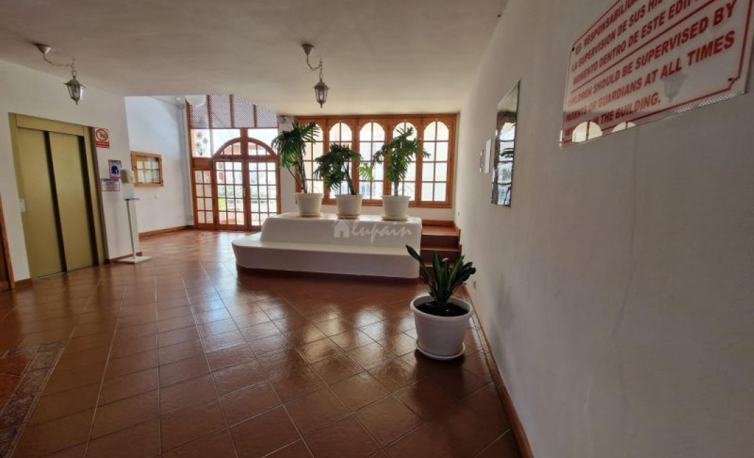 Revente - Appartement - Los Cristianos - Arona Tenerife