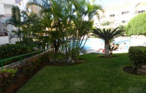 Revente - Appartement - Los Cristianos - Cristian Sur Los Cristianos Tenerife