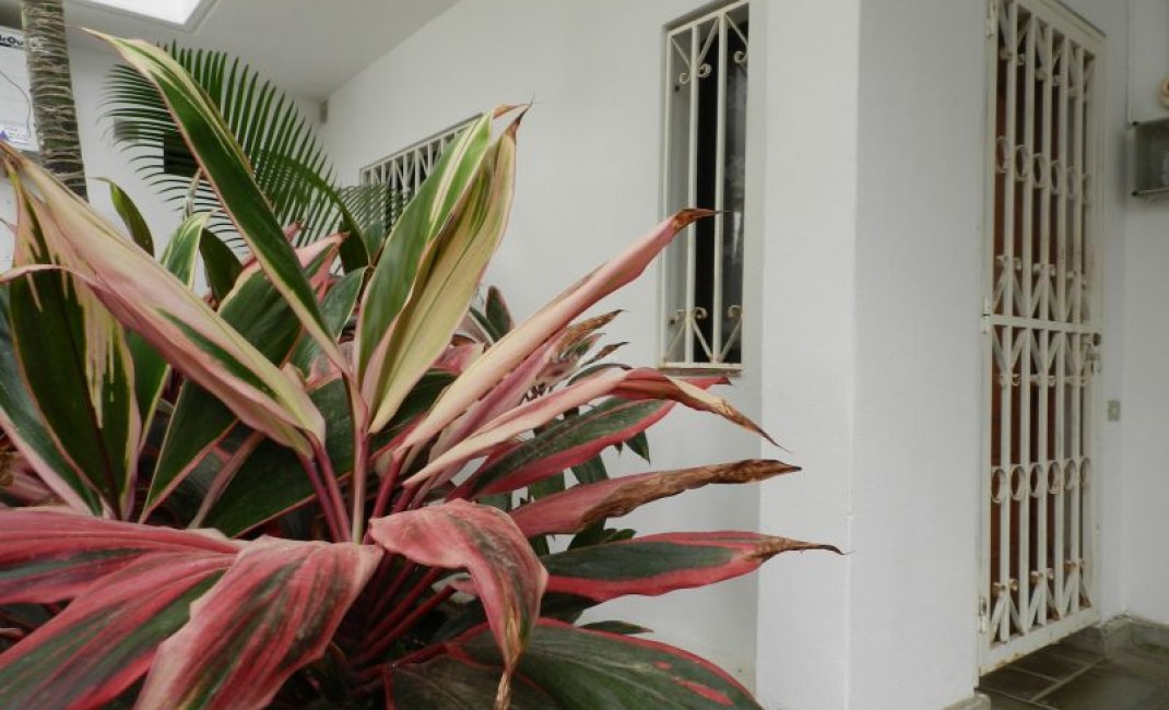 Revente - Appartement - Los Cristianos - Cristian Sur Los Cristianos Tenerife