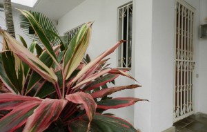 Revente - Appartement - Los Cristianos - Cristian Sur Los Cristianos Tenerife