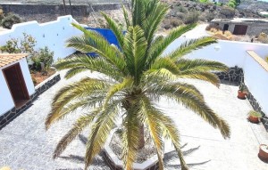 Sale - Villa - Los Gigantes