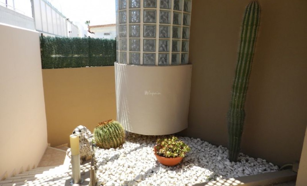 Revente - Villa - San Eugenio