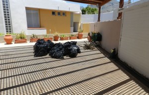 Revente - Villa - San Eugenio