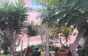 Sale - Villa - Playa Paraiso