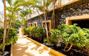 Sale - Apartment - Los Cristianos - Parque Tropical Los Cristianos