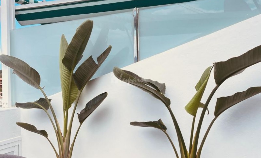 Sale - Apartment - Los Cristianos - Colina Park Los Cristianos