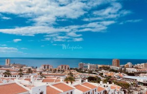Sale - Apartment - Los Cristianos - Colina Park Los Cristianos
