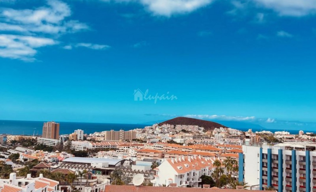 Sale - Apartment - Los Cristianos - Colina Park Los Cristianos