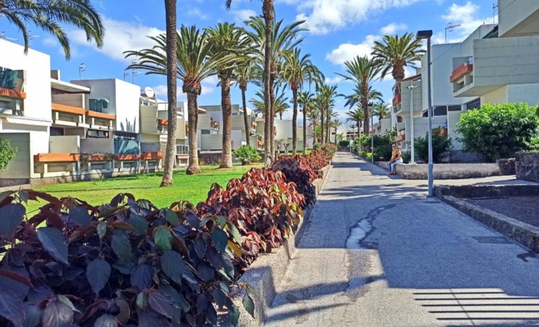 Revente - Appartement - Costa Del Silencio - Primavera Costa Del Silencio Tenerife