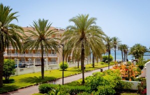 Sale - Apartment - Playa De Las Americas - Parque Santiago I Las Americas