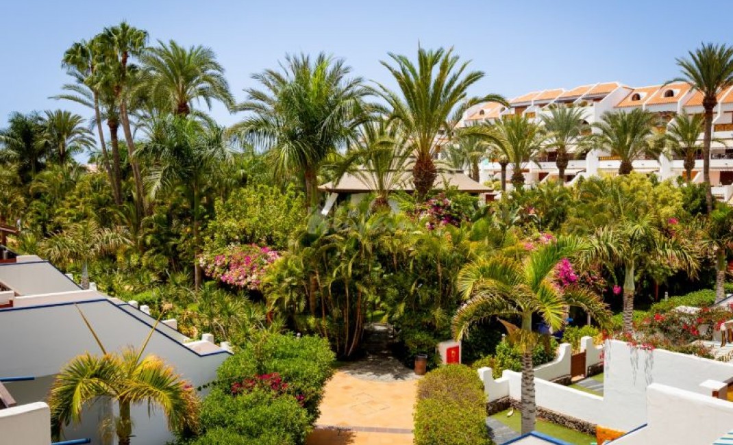 Sale - Apartment - Playa De Las Americas - Parque Santiago I Las Americas
