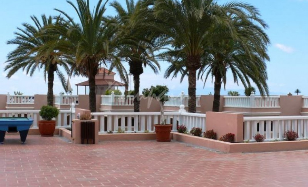 Revente - Appartement - Costa Adeje - Sol Sun Beach Costa Adeje Tenerife