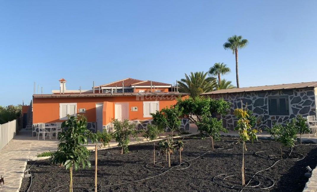 Sale - Villa - El Roque