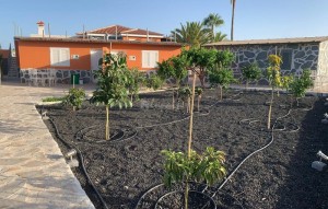 Sale - Villa - El Roque