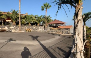 Sale - Villa - El Roque