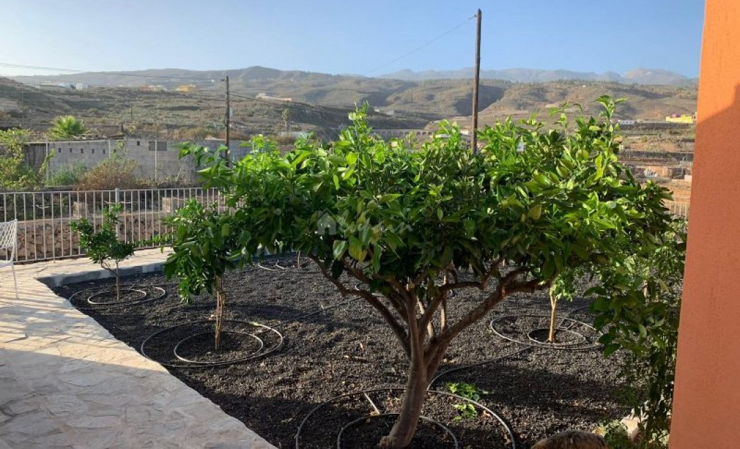 Sale - Villa - El Roque