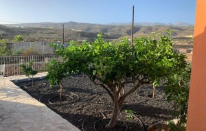 Sale - Villa - El Roque