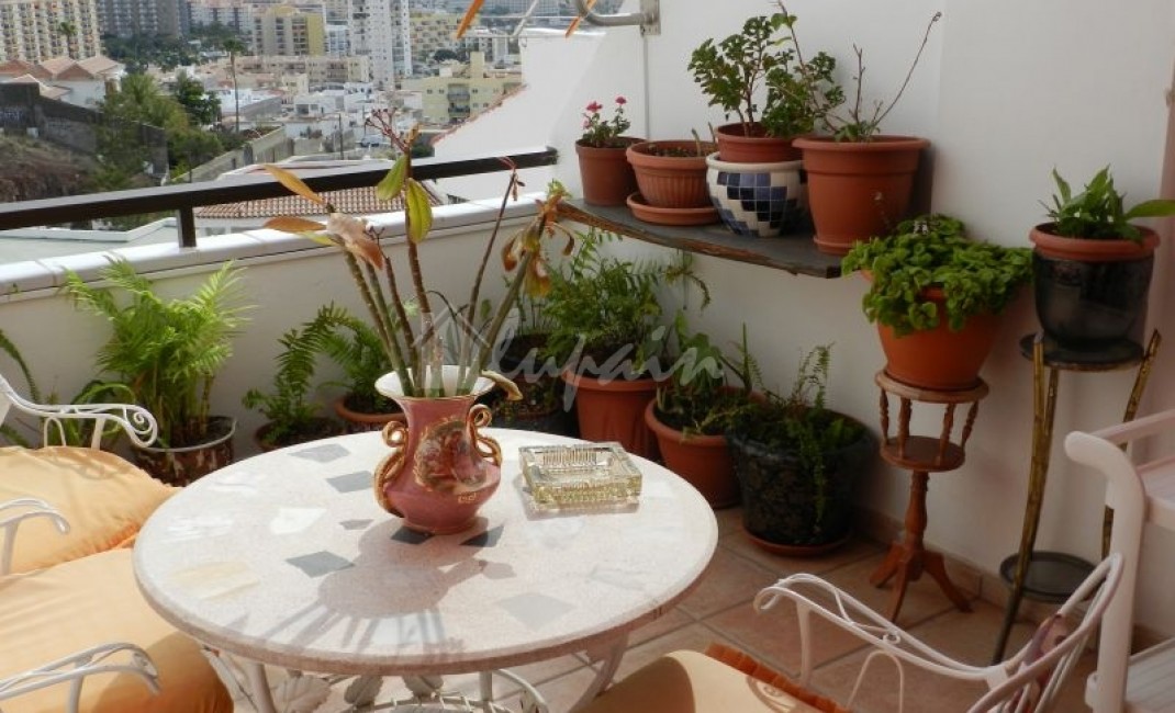 Revente - Townhouse - Los Cristianos - Arona, Los Cristianos, Tenerife