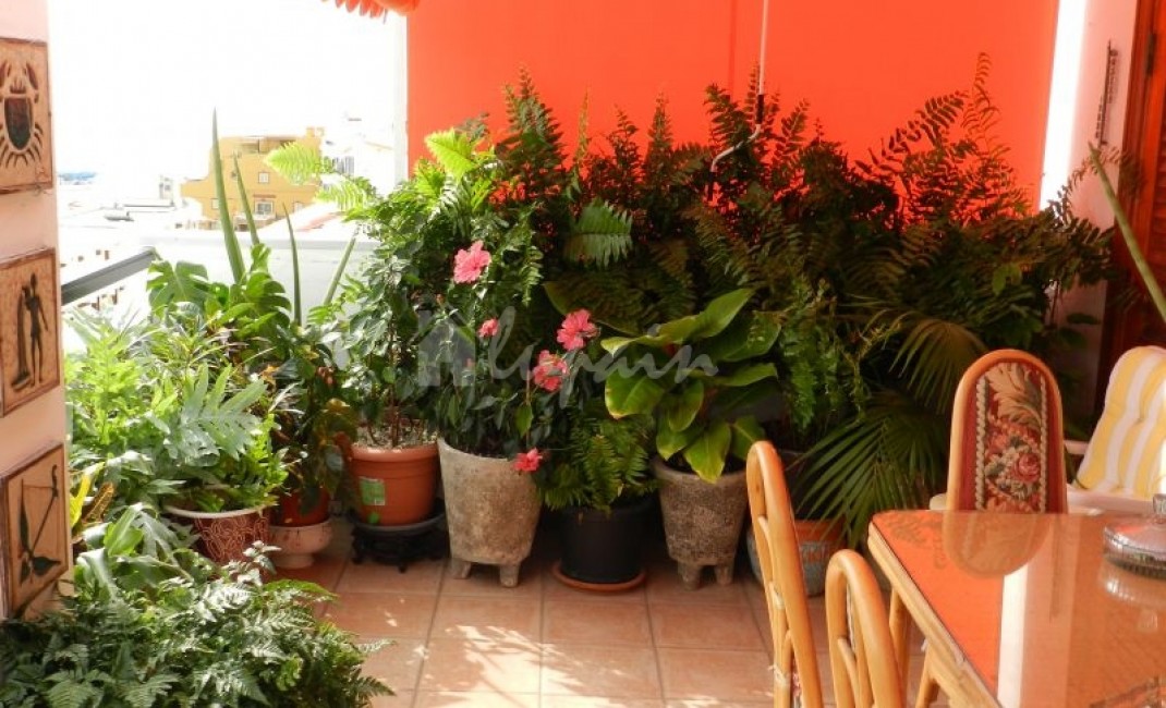 Revente - Townhouse - Los Cristianos - Arona, Los Cristianos, Tenerife