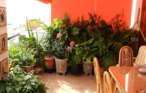 Revente - Townhouse - Los Cristianos - Arona, Los Cristianos, Tenerife