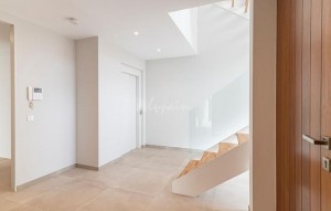 Revente - Villa - Callao Salvaje