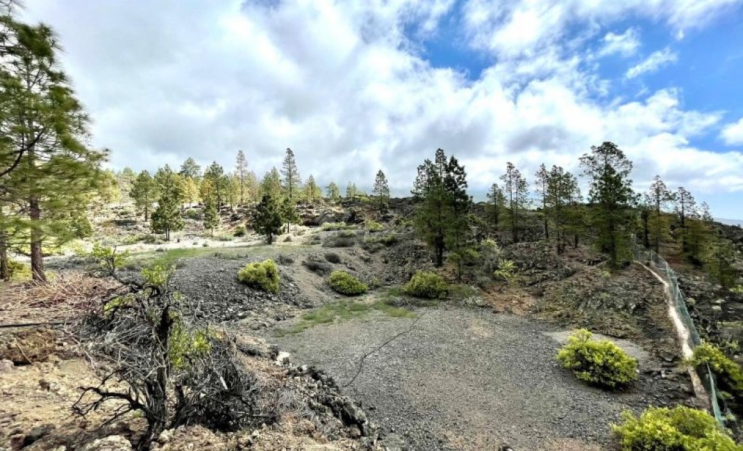 Sale - Plot - Guia De Isora - Chirche Guia De Isora